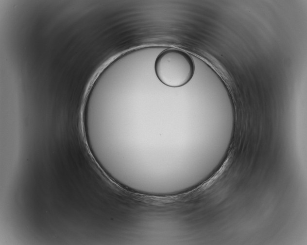 X0000094421196200711080952