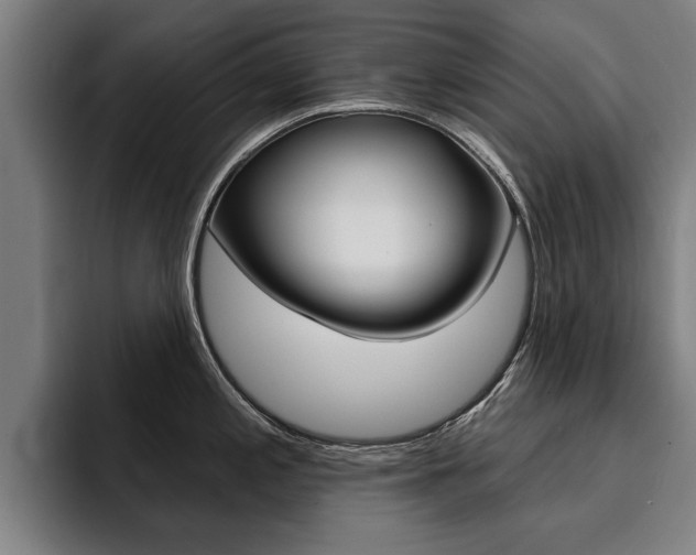 X0000094421197200711080952