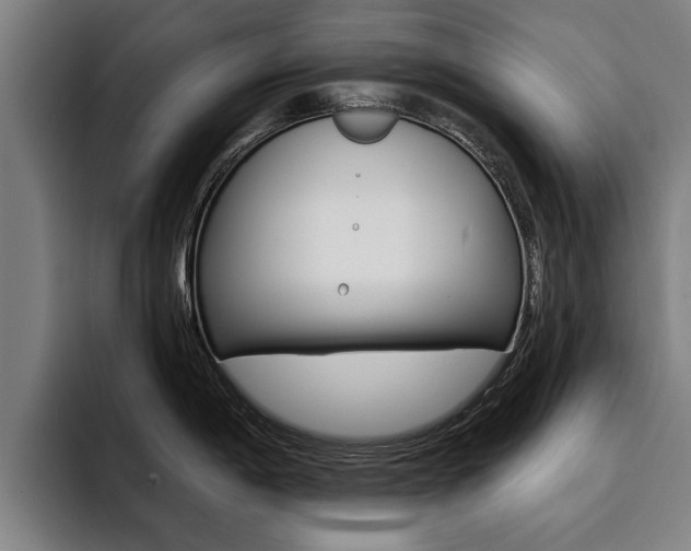 X0000094421198200711080952