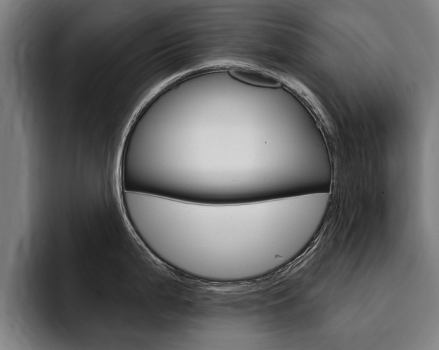 X0000094421199200711080952