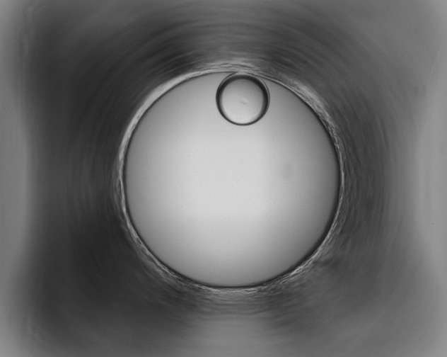 X0000094421200200711080952