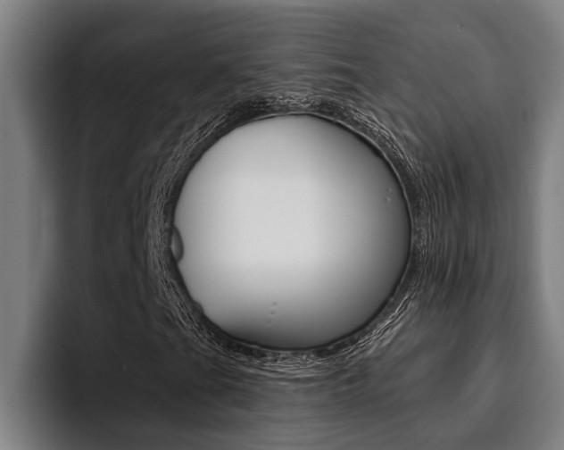 X0000094421201200711080952