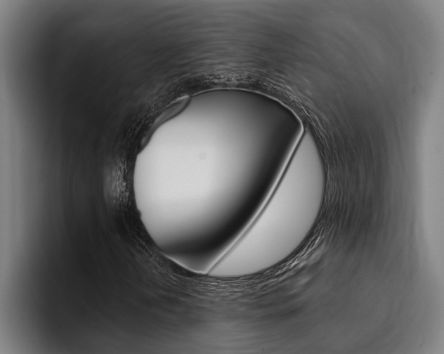 X0000094421202200711080952