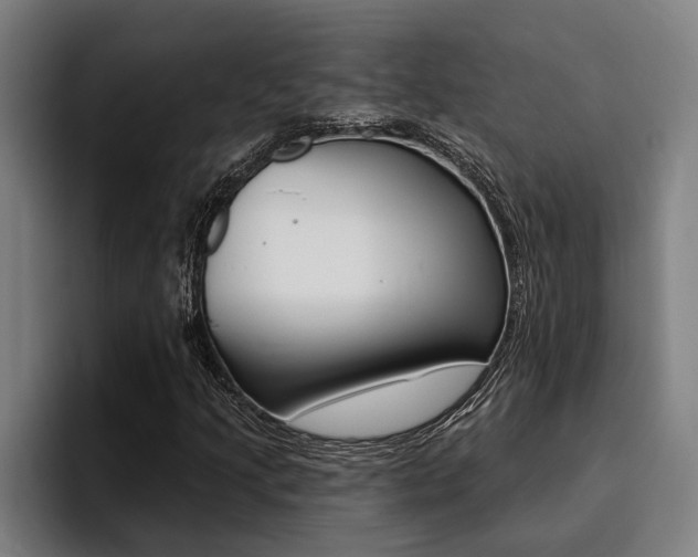 X0000094421205200711080952