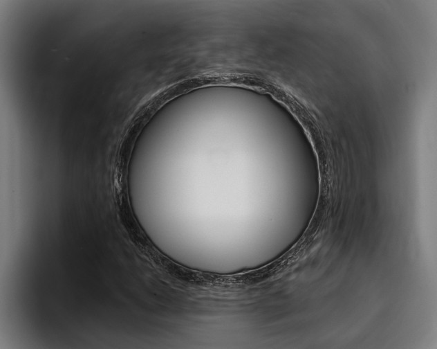 X0000094421206200711080952