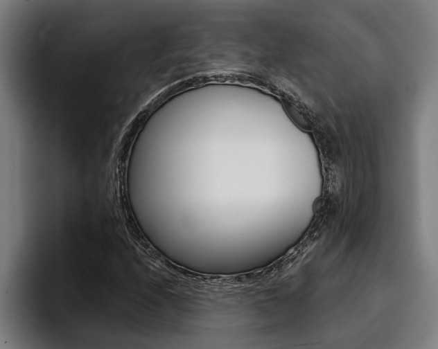 X0000094421208200711080952