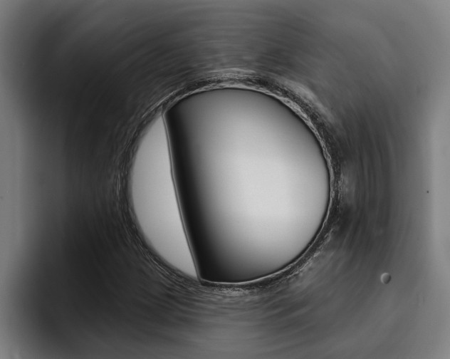 X0000094421209200711080952