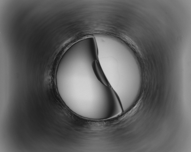 X0000094421210200711080952