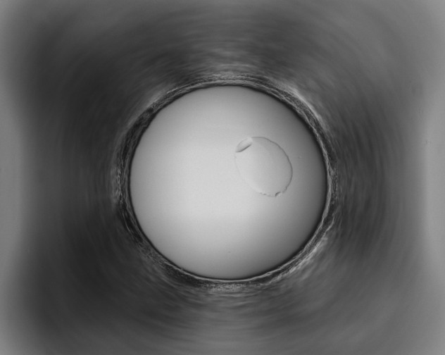 X0000094421211200711080952