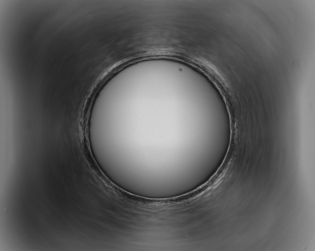 X0000094421212200711080952