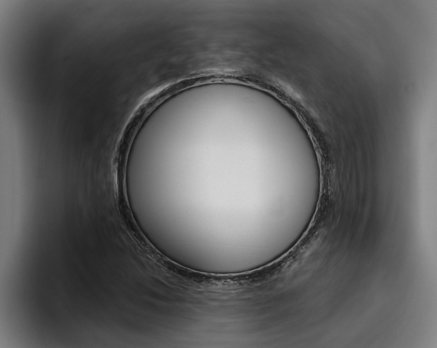 X0000094421214200711080952