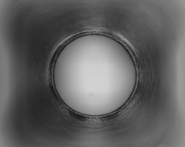 X0000094421215200711080952