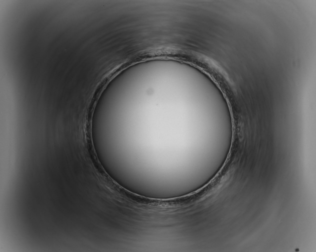 X0000094421217200711080952