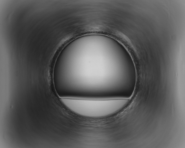 X0000094421218200711080952
