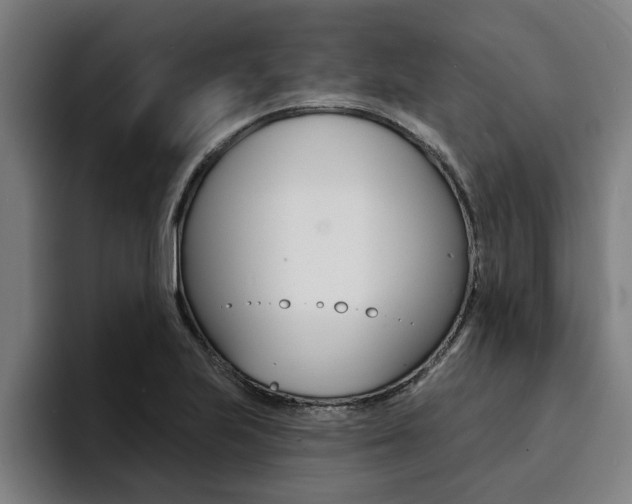 X0000094421223200711080952