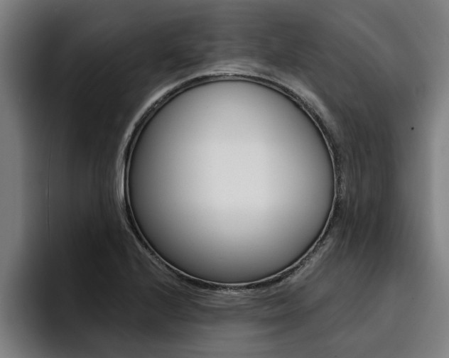 X0000094421224200711080952