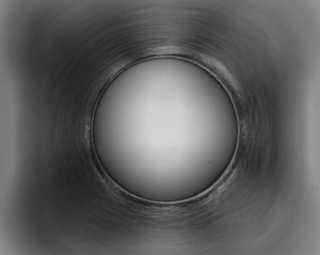 X0000094421225200711080952