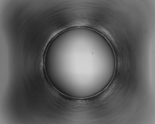 X0000094421226200711080952