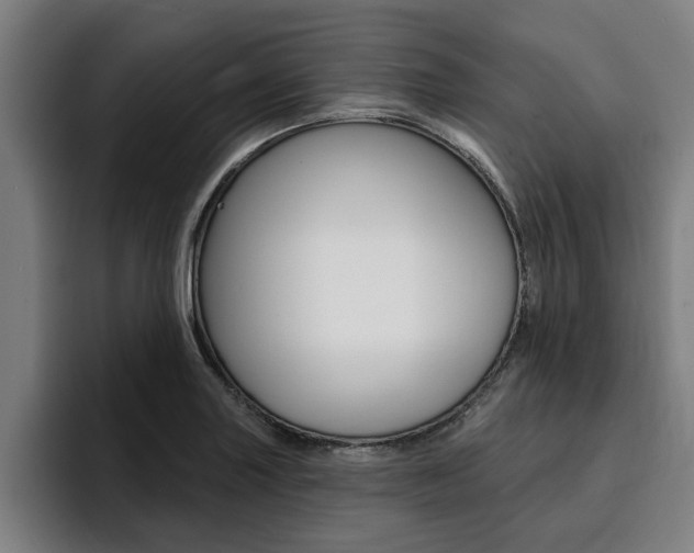 X0000094421227200711080952