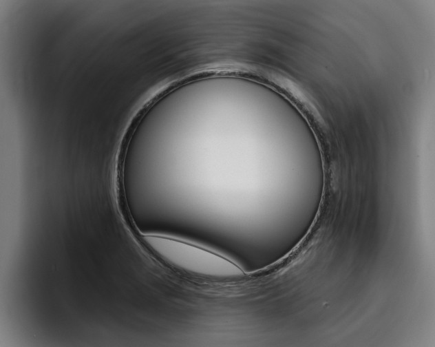 X0000094421229200711080952
