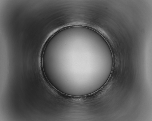 X0000094421230200711080952
