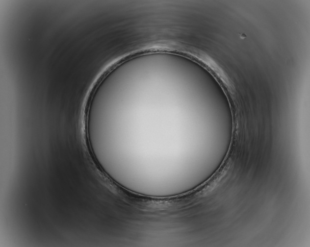 X0000094421232200711080952
