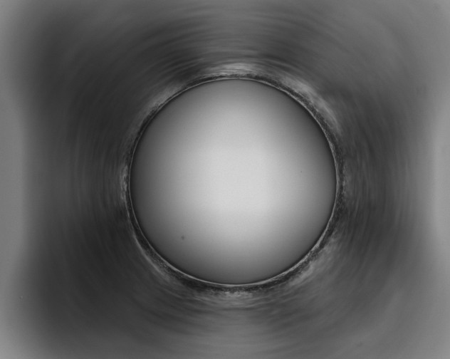 X0000094421233200711080952