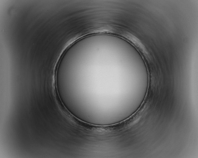 X0000094421234200711080952