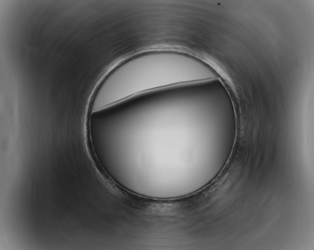X0000094421237200711080952