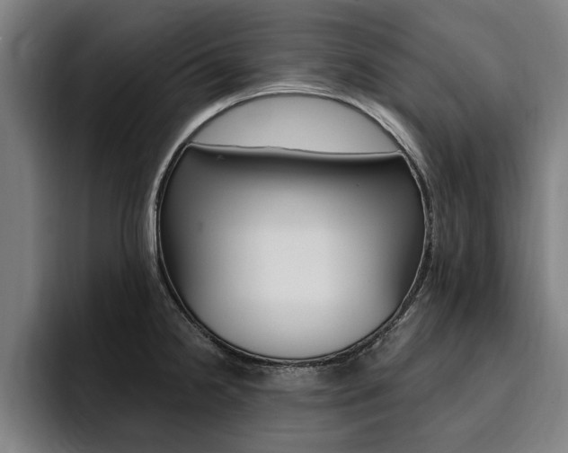 X0000094421238200711080952