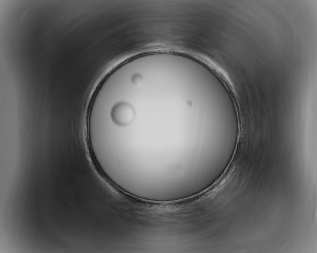 X0000094421239200711080952