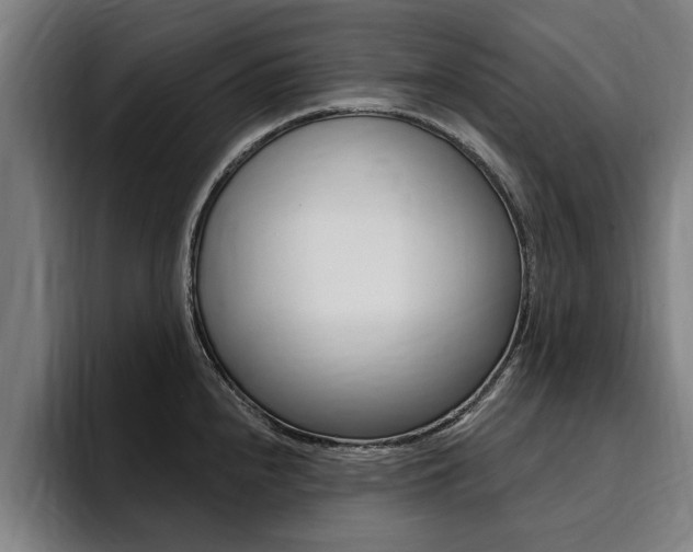 X0000094421240200711080952