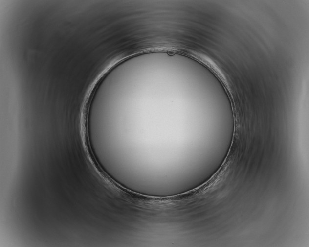 X0000094421243200711080952