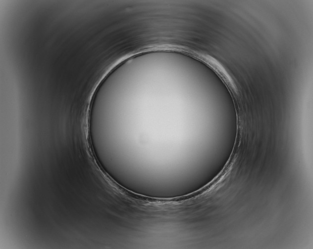 X0000094421244200711080952