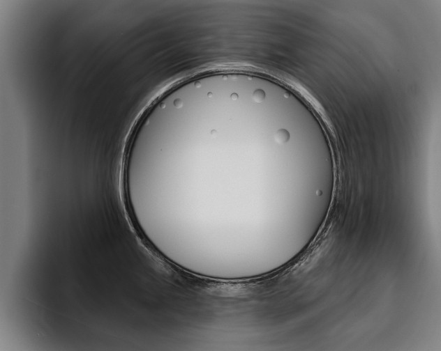 X0000094421245200711080952