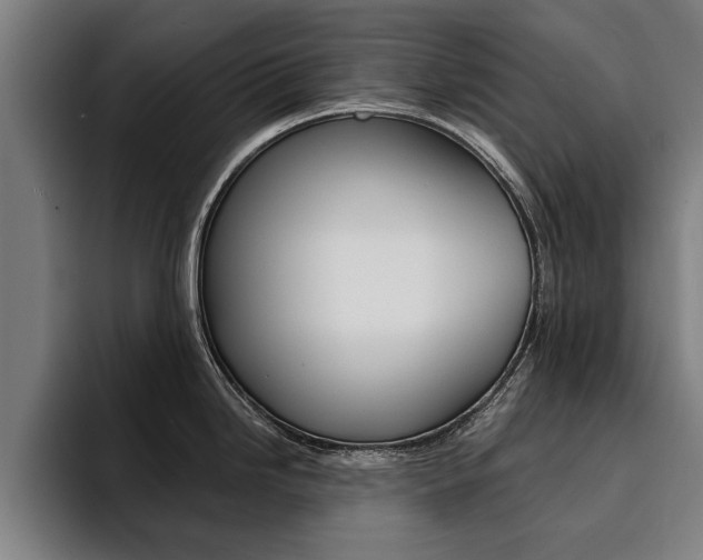 X0000094421246200711080952