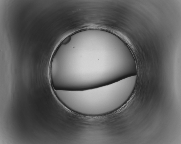 X0000094421247200711080952