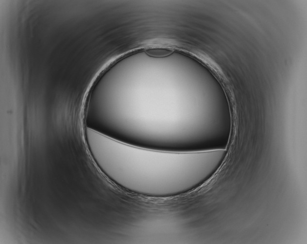 X0000094421248200711080952