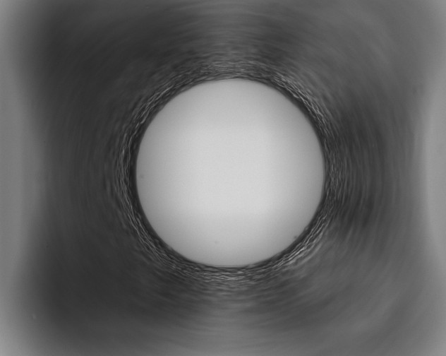 X0000094421249200711080952