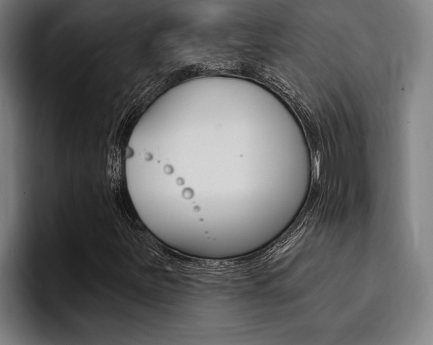 X0000094421251200711080952