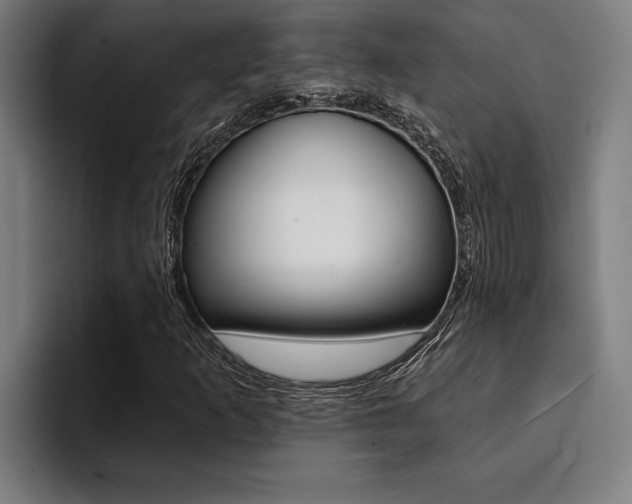X0000094421253200711080952