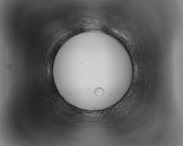 X0000094421254200711080952