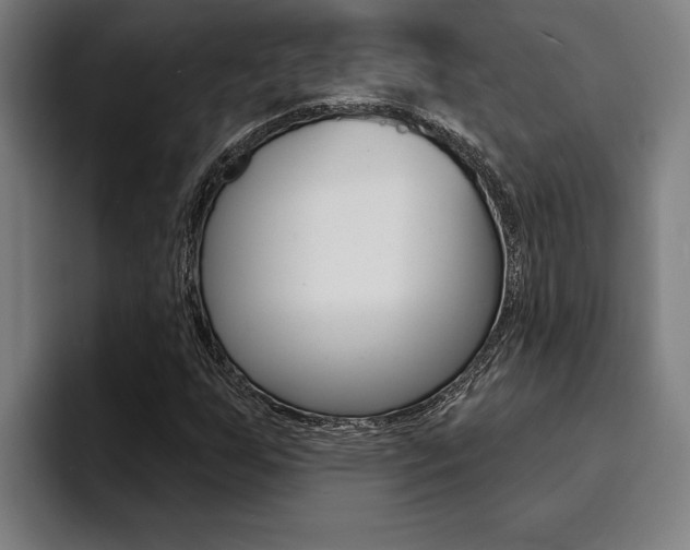 X0000094421255200711080952