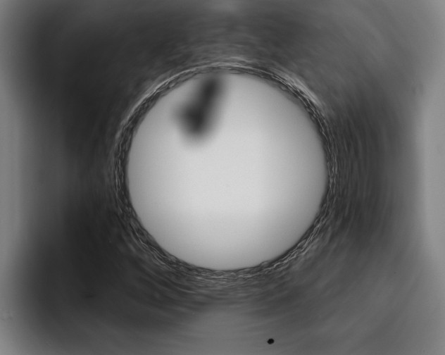 X0000094421256200711080952