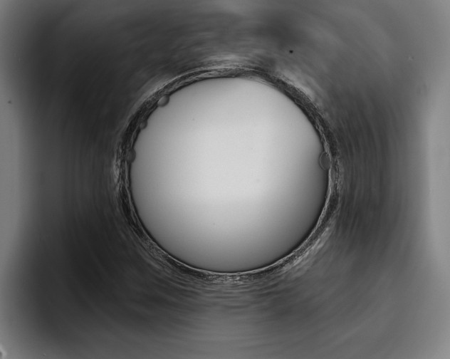 X0000094421259200711080952
