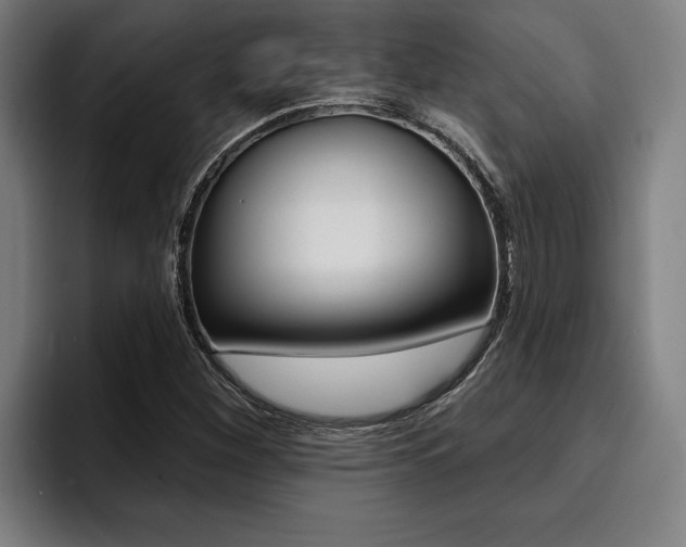 X0000094421260200711080952