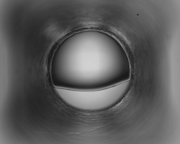 X0000094421261200711080951