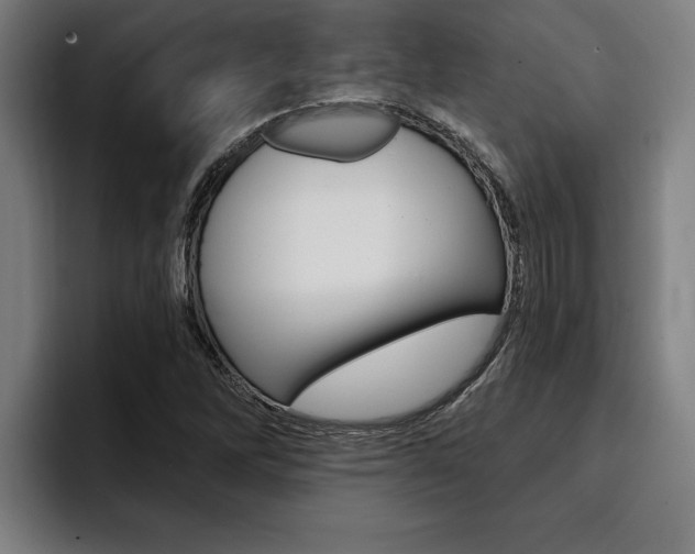 X0000094421262200711080951