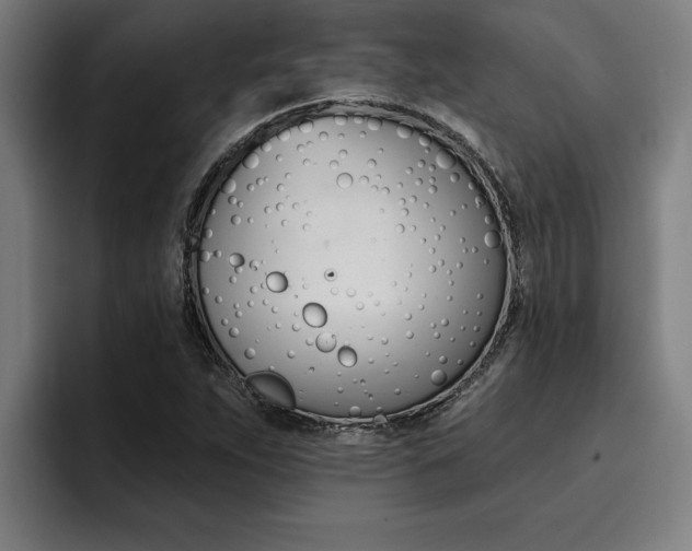 X0000094421263200711080951