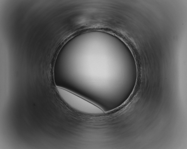 X0000094421265200711080951